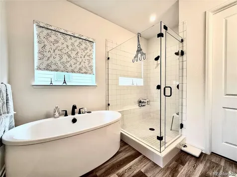 295 Kitselman Drive Castle Rock CO 80104