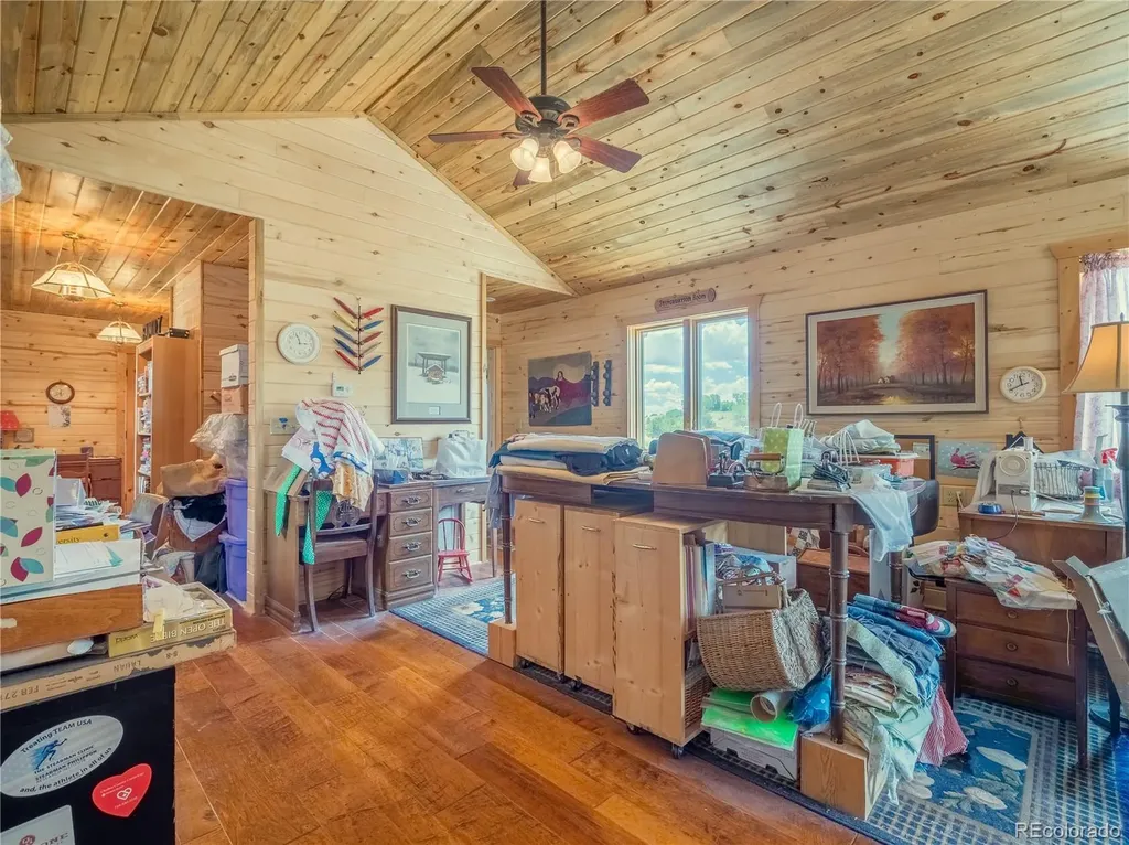 27045 County Road 342 Buena Vista CO 81211