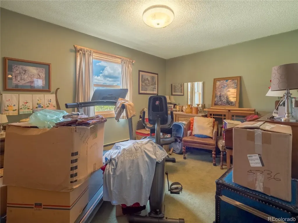 27045 County Road 342 Buena Vista CO 81211