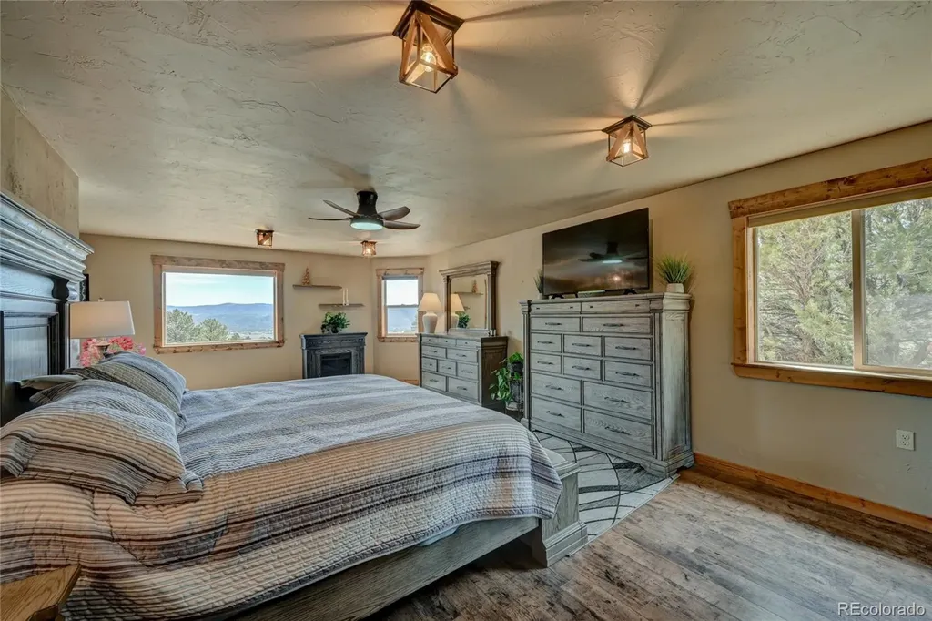 30280 Valley View Drive Buena Vista CO 81211