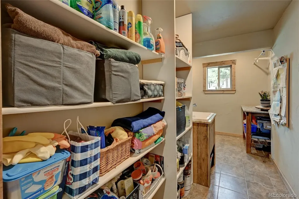 30280 Valley View Drive Buena Vista CO 81211