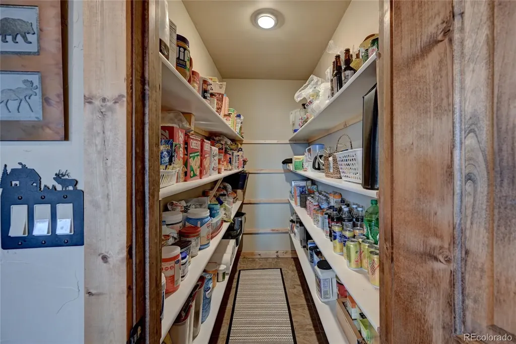 30280 Valley View Drive Buena Vista CO 81211
