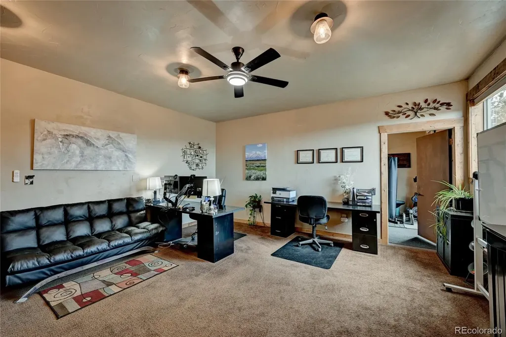 30280 Valley View Drive Buena Vista CO 81211