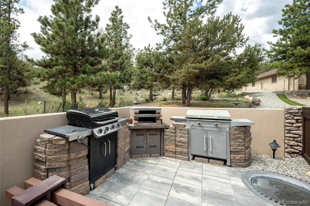 30280 Valley View Drive Buena Vista CO 81211