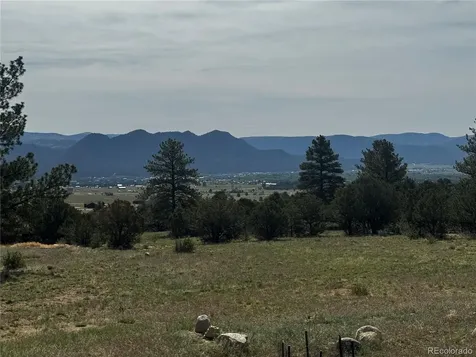 30280 Valley View Drive Buena Vista CO 81211