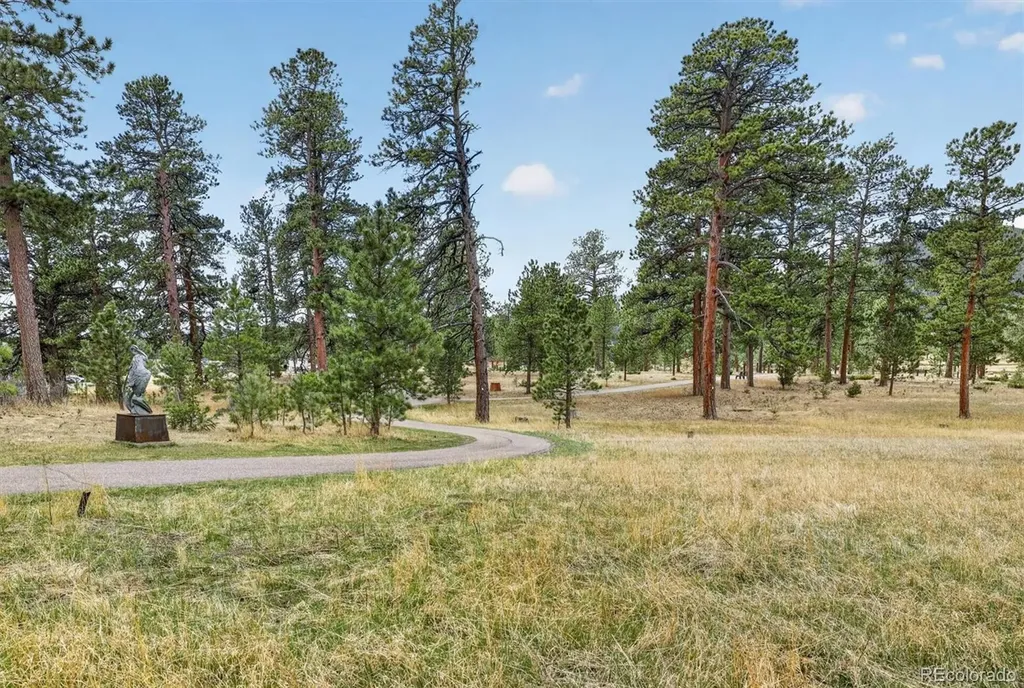 29210 Northstar Lane Evergreen CO 80439