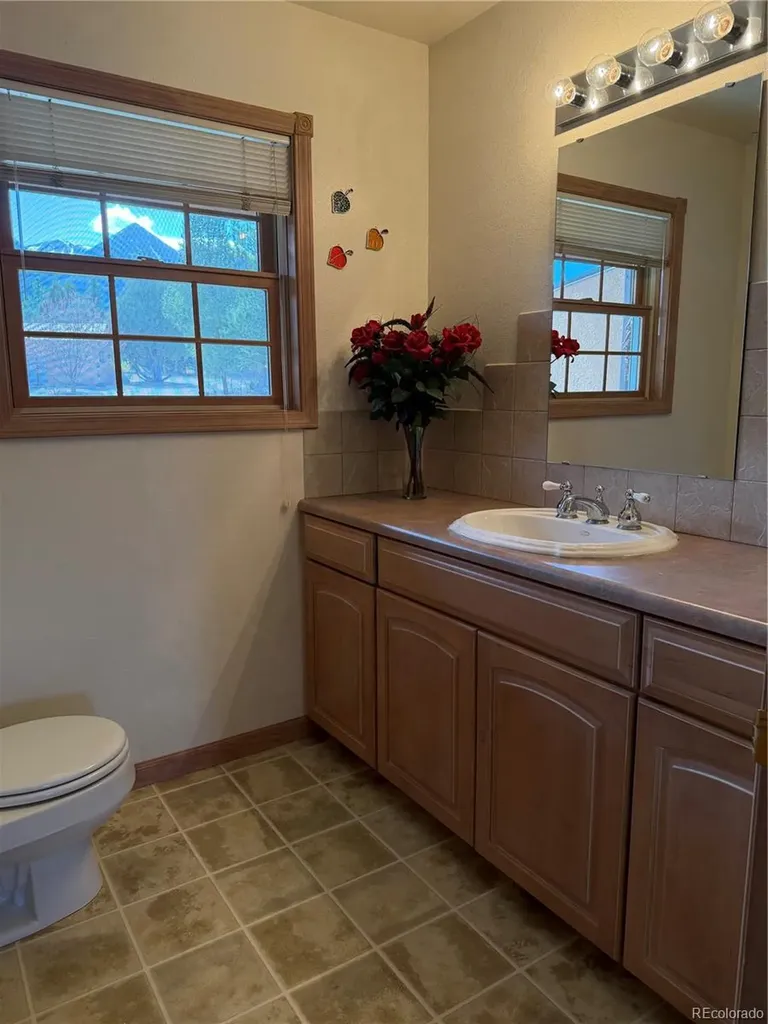 548 Shamrock Lane Howard CO 81233