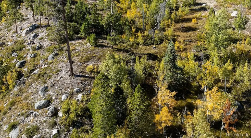 932 Old Tonahutu Ridge Road Grand Lake CO 80447