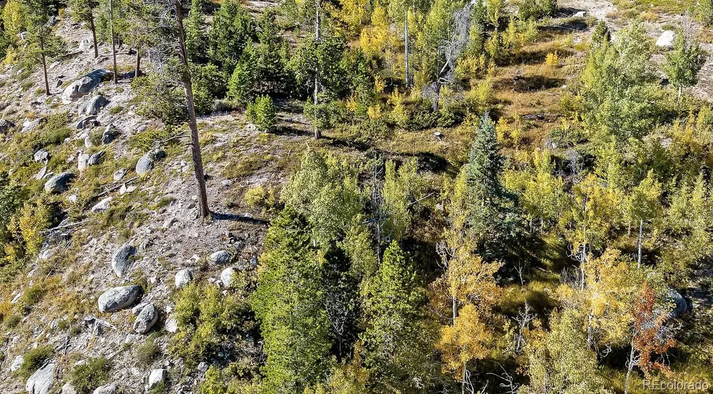 932 Old Tonahutu Ridge Road Grand Lake CO 80447