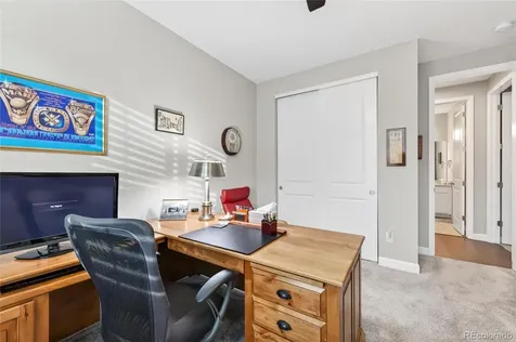 6650 Mentha Drive Castle Rock CO 80108