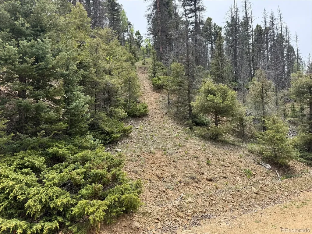 Lot 6795 Starkweather Road Fort Garland CO 81133