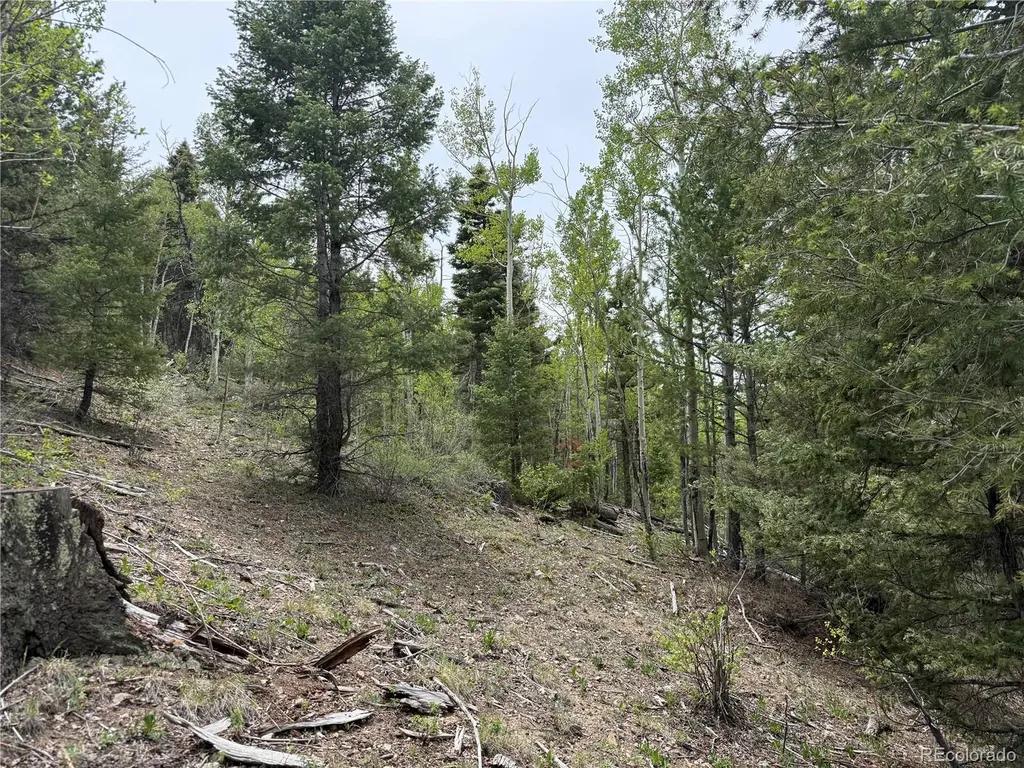 Lot 6795 Starkweather Road Fort Garland CO 81133