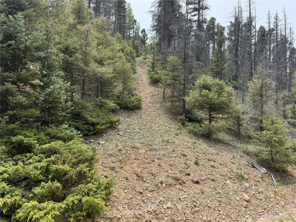 Lot 6795 Starkweather Road Fort Garland CO 81133