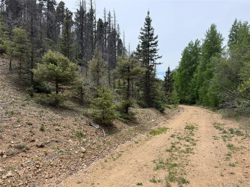 Lot 6795 Starkweather Road Fort Garland CO 81133