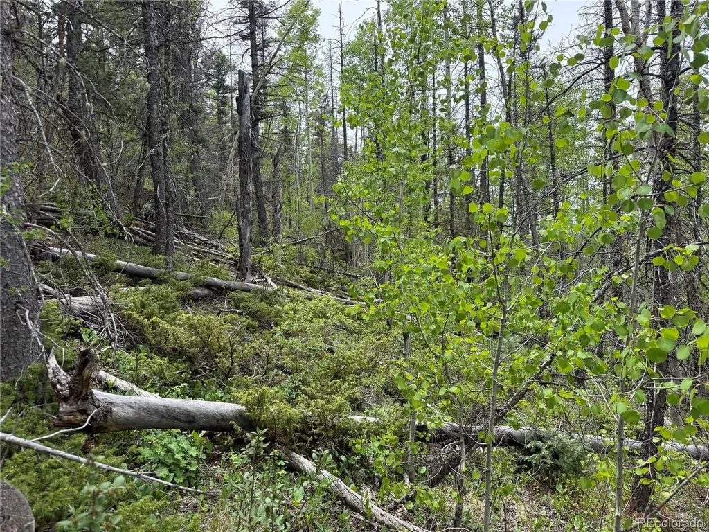 Lot 6795 Starkweather Road Fort Garland CO 81133