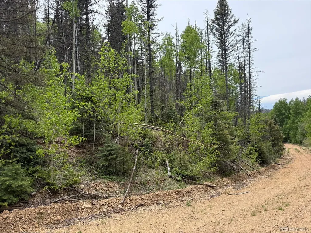 Lot 6795 Starkweather Road Fort Garland CO 81133