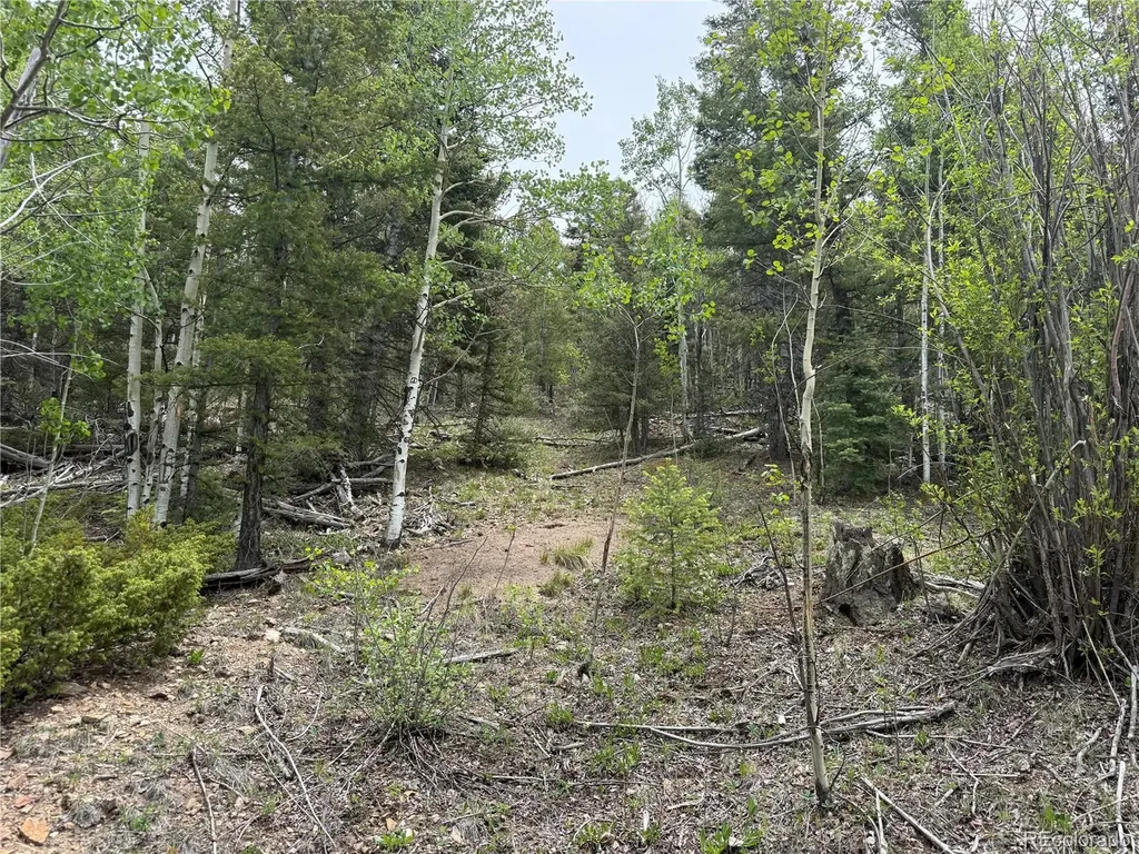 Lot 6795 Starkweather Road Fort Garland CO 81133