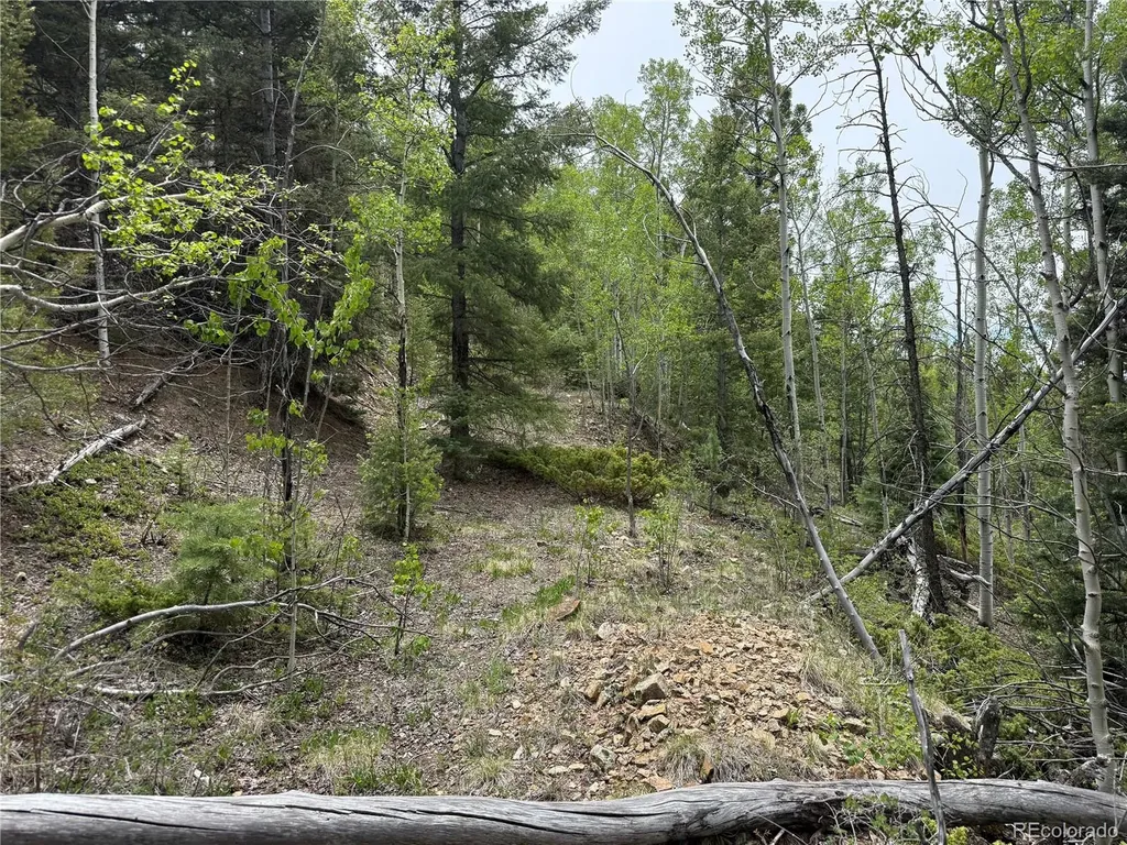 Lot 6795 Starkweather Road Fort Garland CO 81133