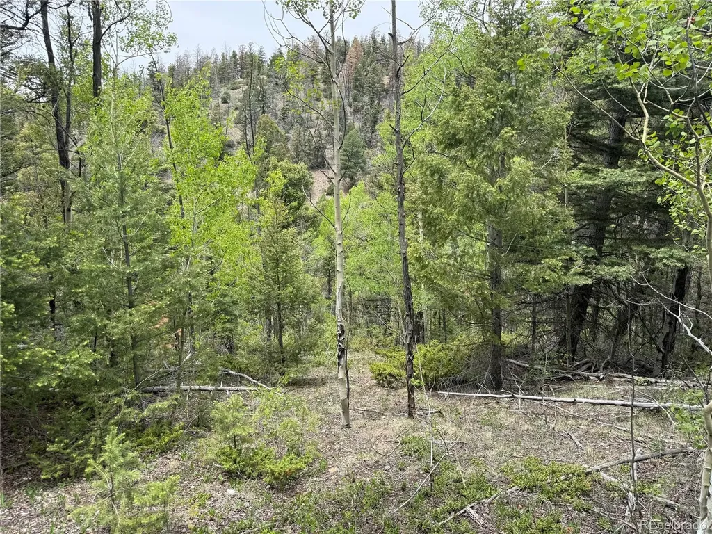 Lot 6795 Starkweather Road Fort Garland CO 81133