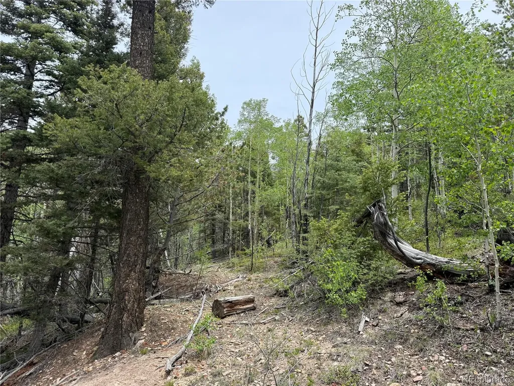 Lot 6795 Starkweather Road Fort Garland CO 81133