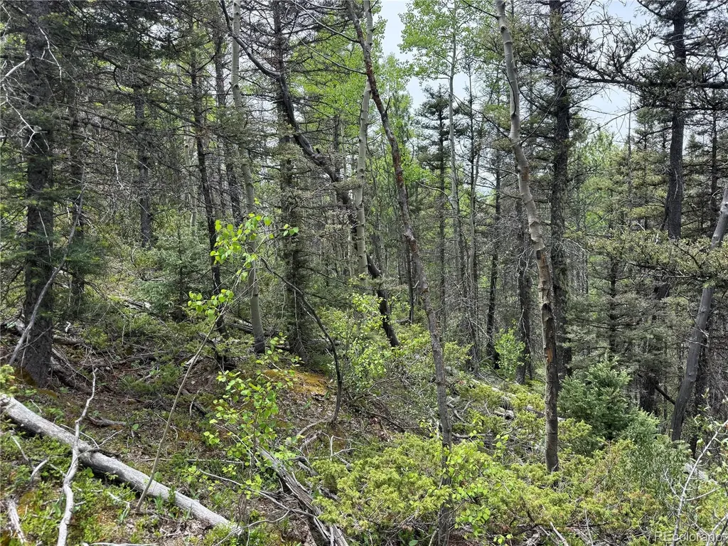 Lot 6795 Starkweather Road Fort Garland CO 81133