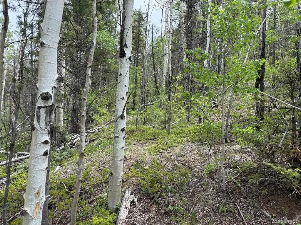 Lot 6795 Starkweather Road Fort Garland CO 81133