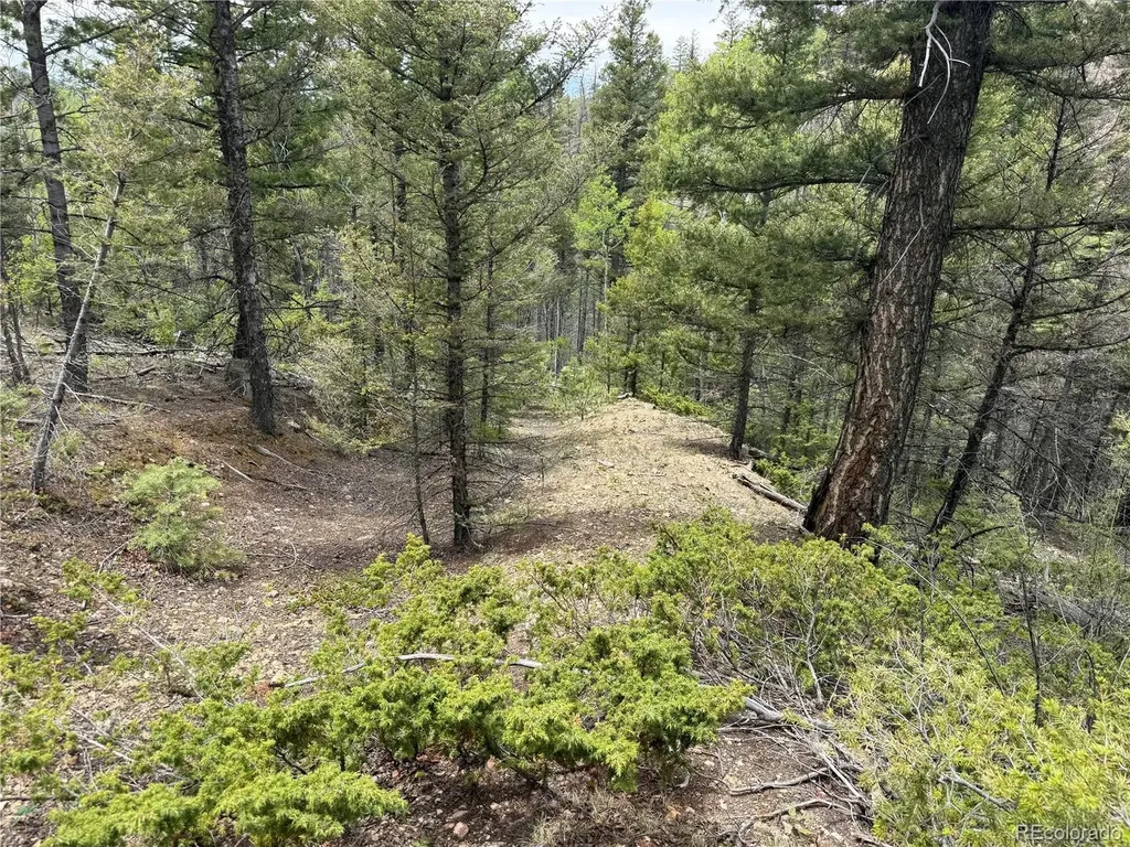 Lot 6795 Starkweather Road Fort Garland CO 81133