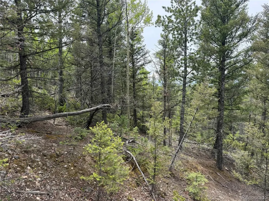Lot 6795 Starkweather Road Fort Garland CO 81133