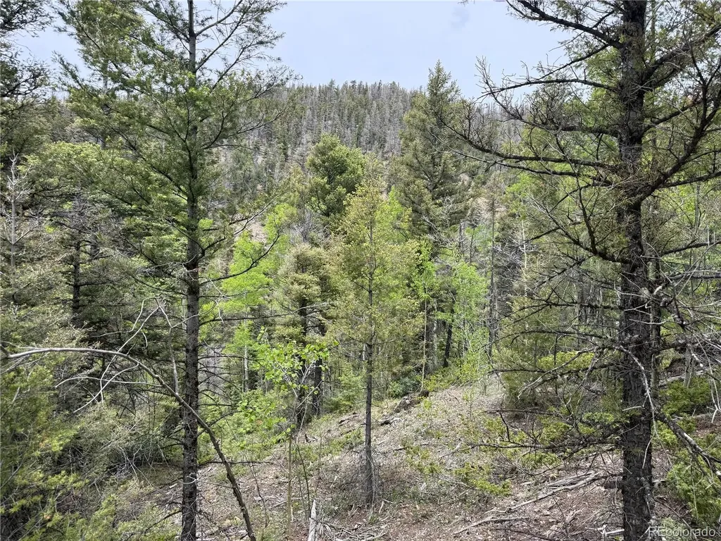 Lot 6795 Starkweather Road Fort Garland CO 81133