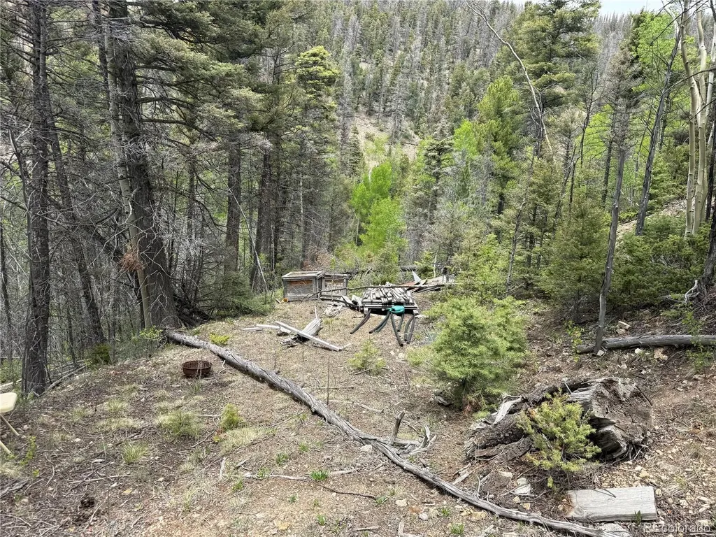 Lot 6795 Starkweather Road Fort Garland CO 81133