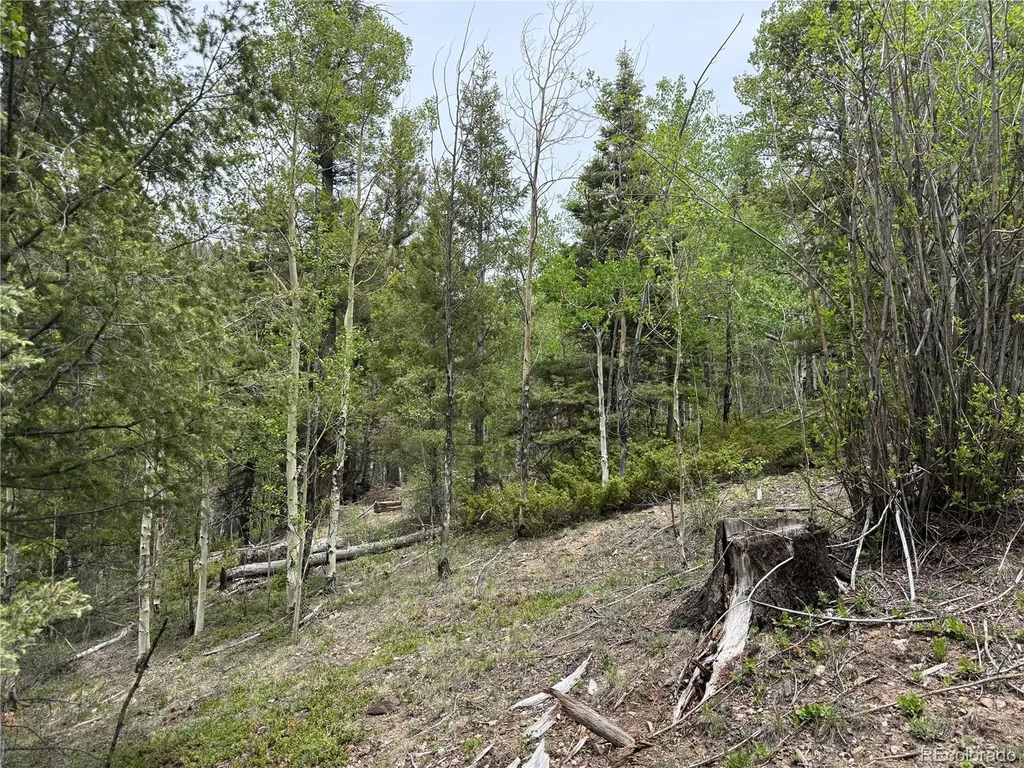 Lot 6795 Starkweather Road Fort Garland CO 81133