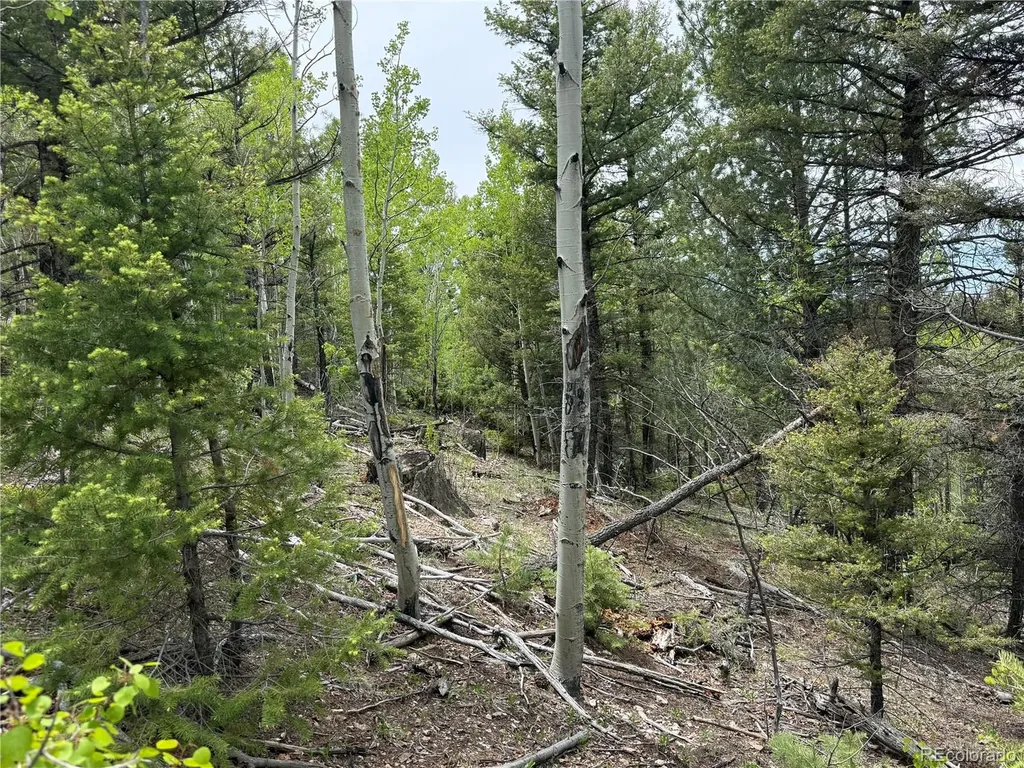 Lot 6795 Starkweather Road Fort Garland CO 81133