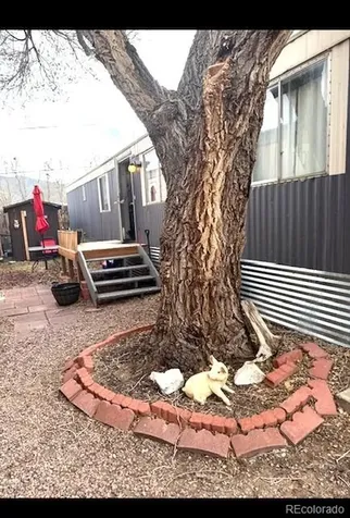 910 J Street Salida CO 81201