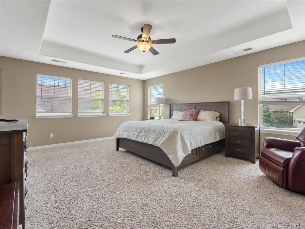 3919 Desert Ridge Circle Castle Rock CO 80108