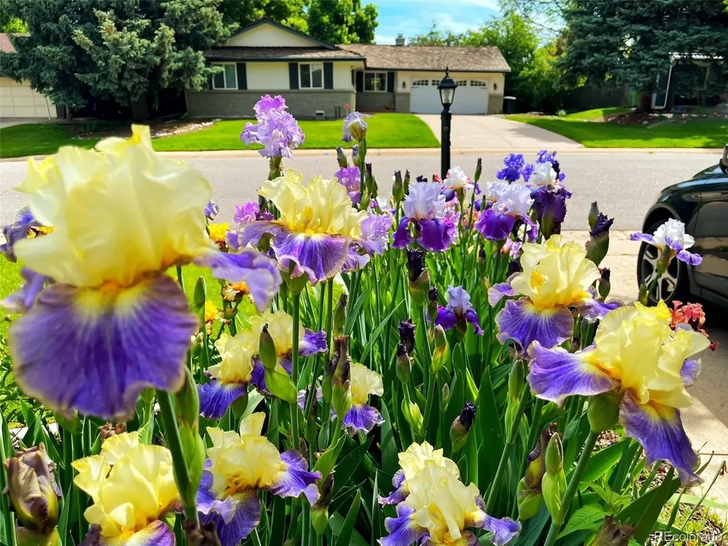 3141 S Jasmine Way Denver CO 80222