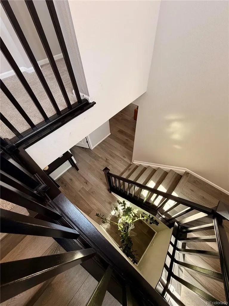 3490 Raintree Lane Dacono CO 80514