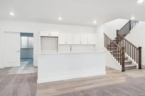 1645 Green Fern Point Castle Rock CO 80104