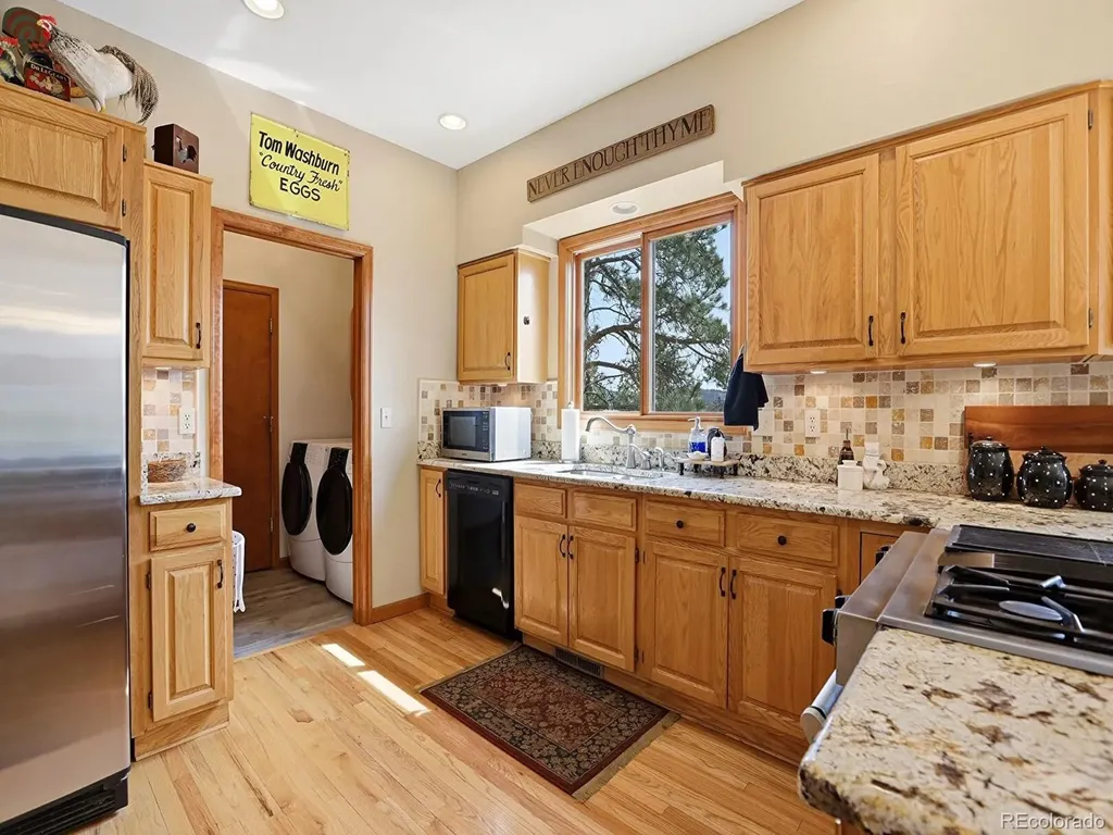 13532 Douglass Ranch Drive Pine CO 80470