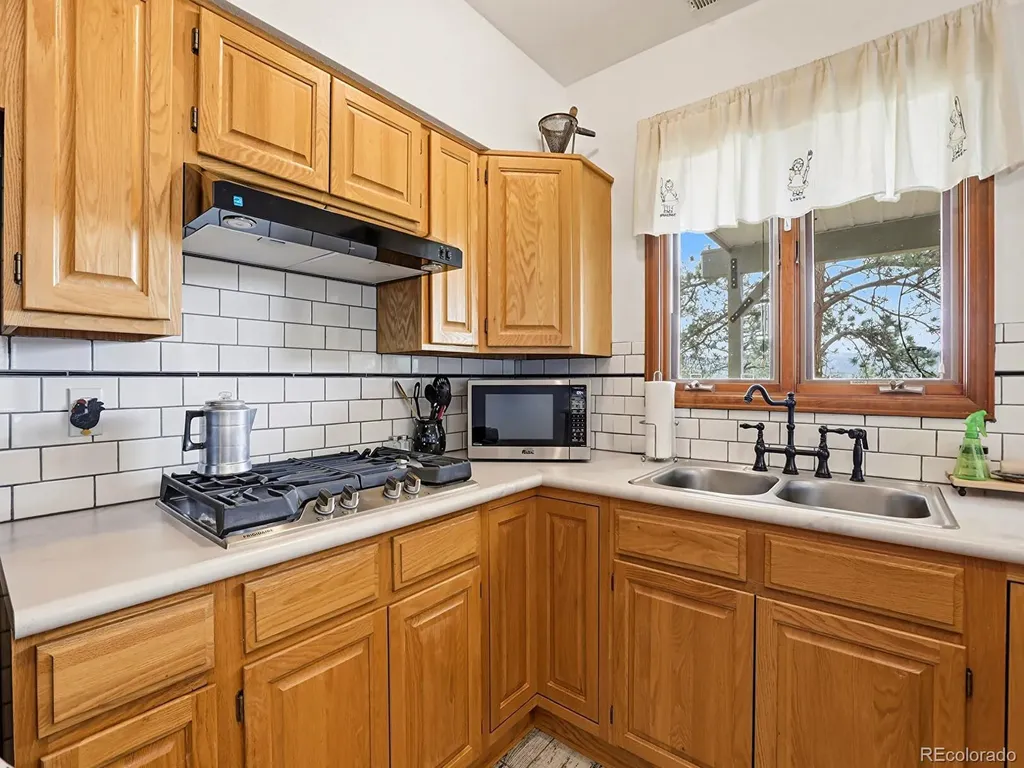 13532 Douglass Ranch Drive Pine CO 80470
