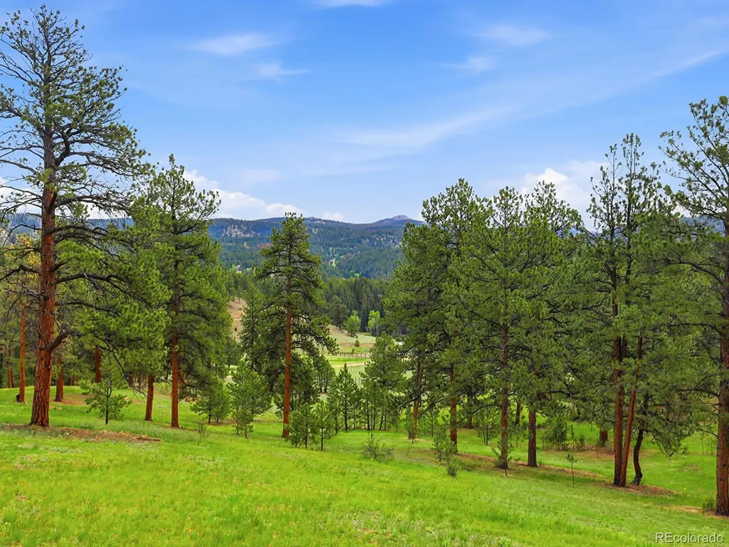 13532 Douglass Ranch Drive Pine CO 80470