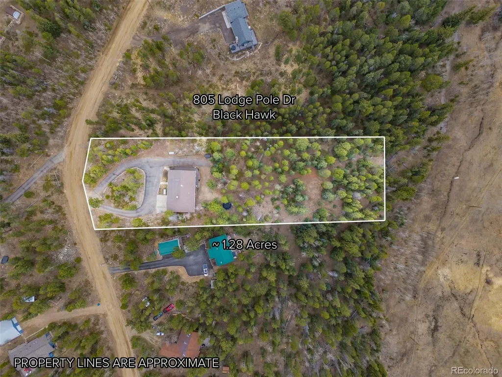 805 Lodge Pole Drive Black Hawk CO 80422