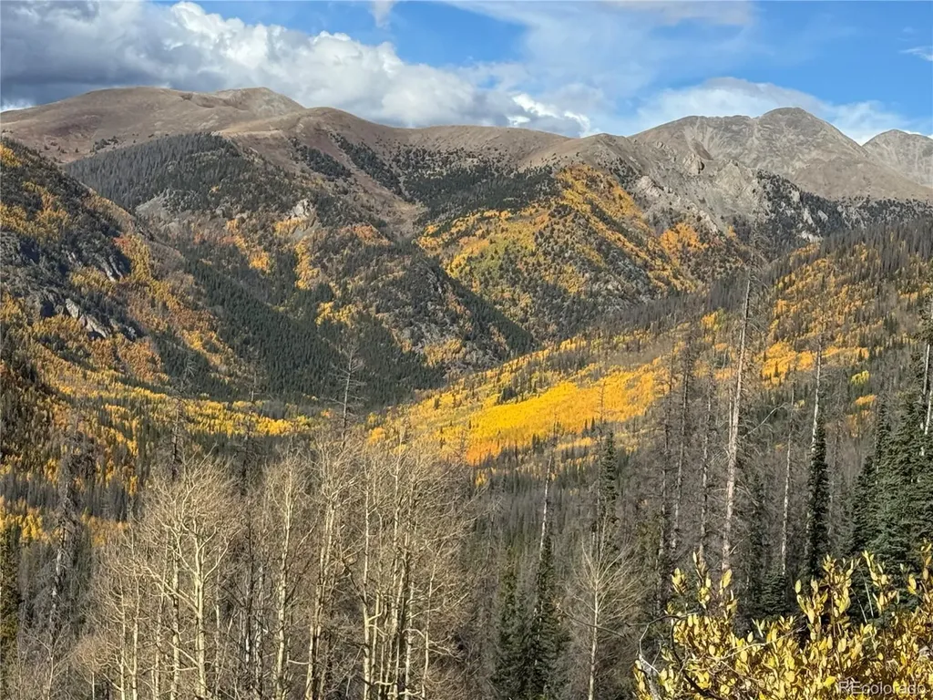 18462 Bowman Buena Vista CO 81211
