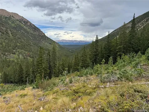 18462 Bowman Buena Vista CO 81211