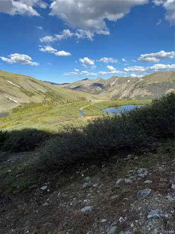 18462 Bowman Buena Vista CO 81211