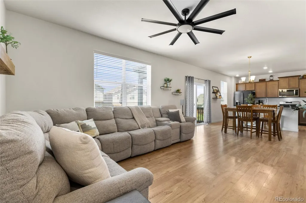 982 Cascade Falls Street Windsor CO 80550