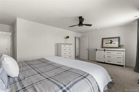 982 Cascade Falls Street Windsor CO 80550