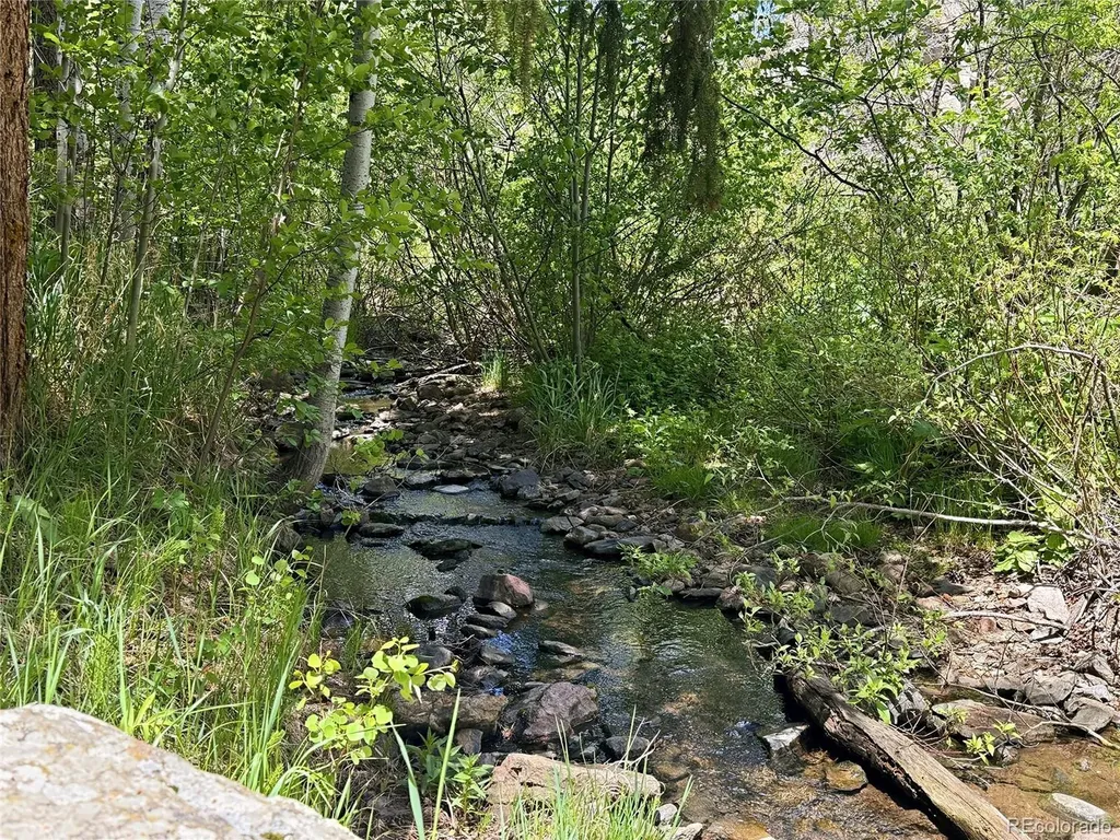 9717 S Deer Creek Canyon Road Littleton CO 80127