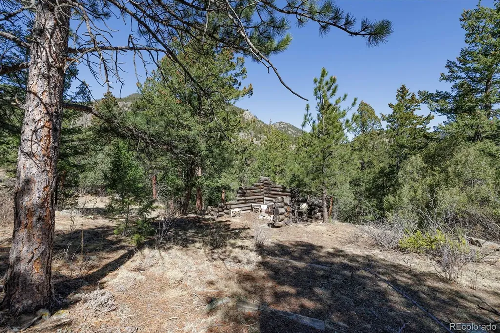 31299 Robinson Hill Road Golden CO 80403