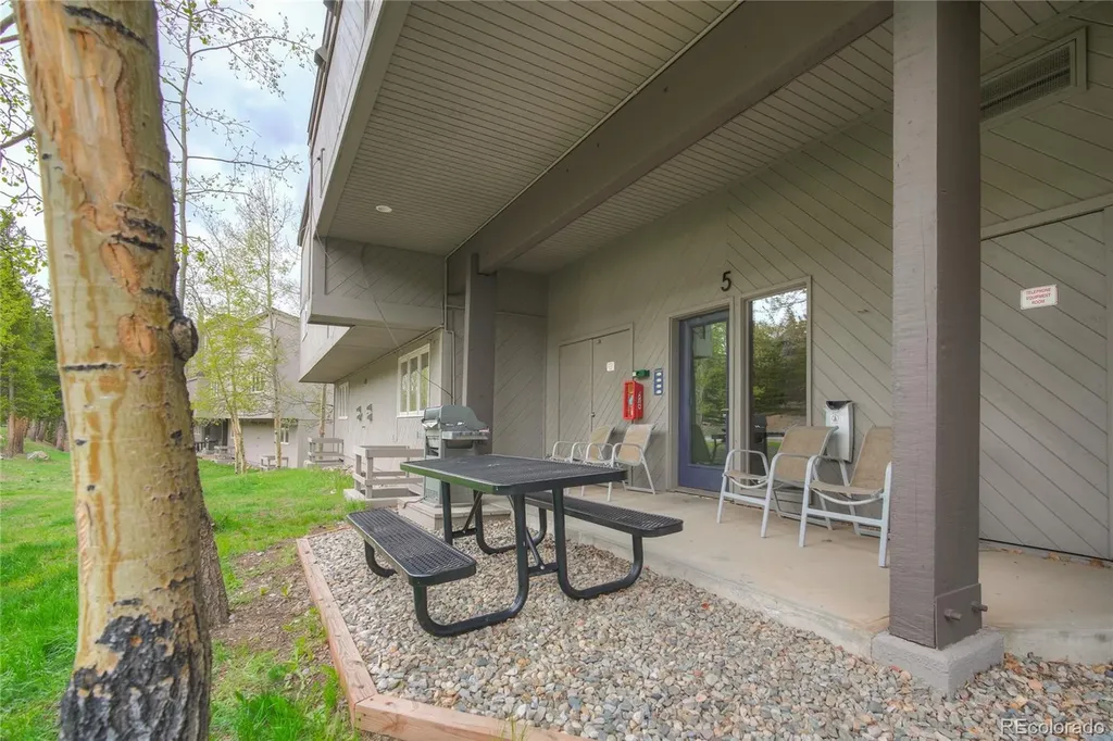 187 N Fuller Placer Road Breckenridge CO 80424