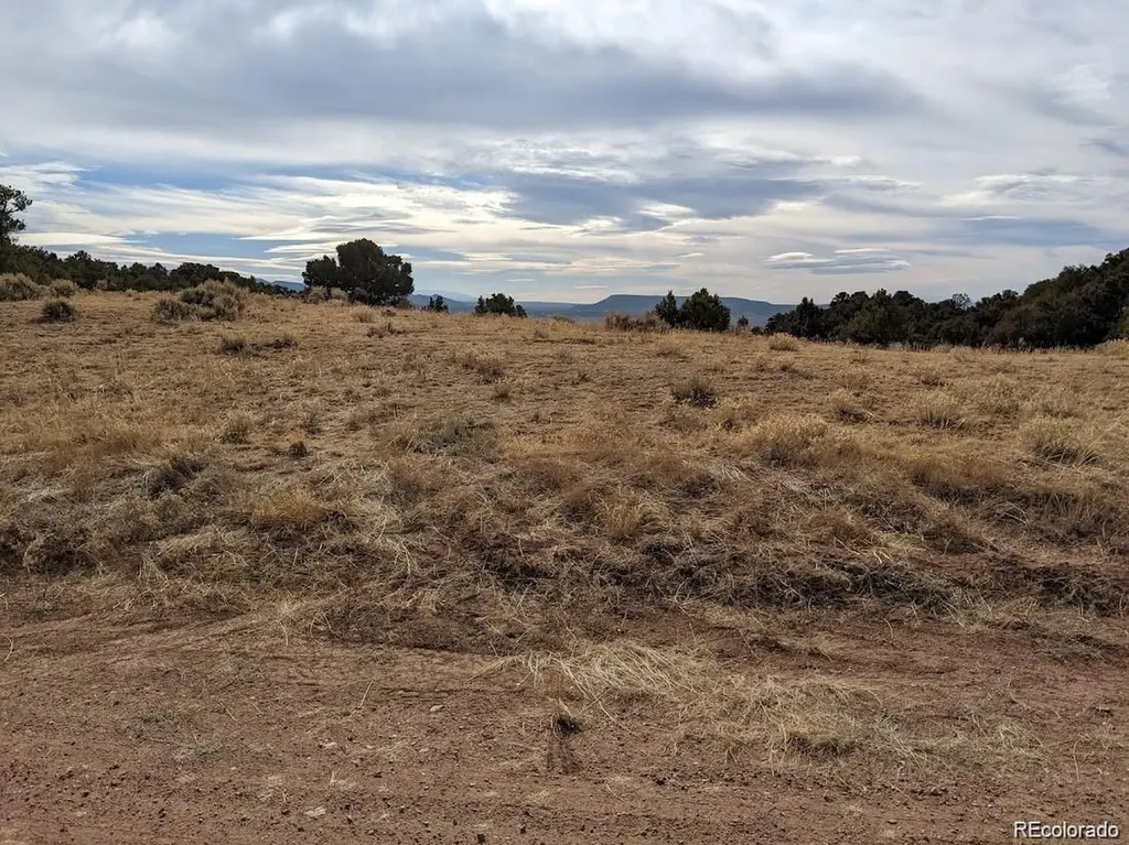 4389 Beekman Road Fort Garland CO 81133